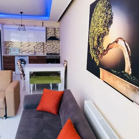 Spring Living Apartment