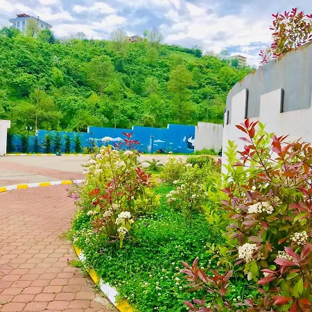 Spring Living Apartment *