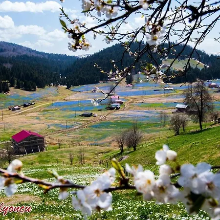 Spring Living * Trabzon